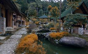 Bamboo Village